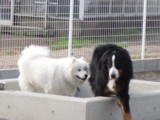 c0123692_1810941.jpg