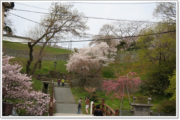 f0146493_22423882.jpg