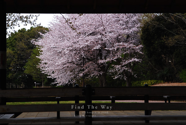 f0054594_432684.jpg