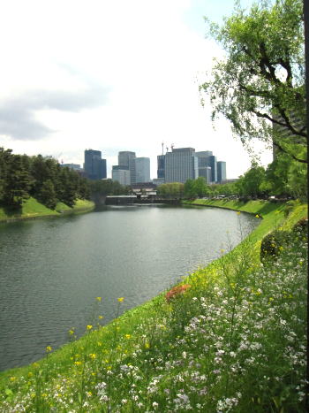 c0090198_5441451.jpg