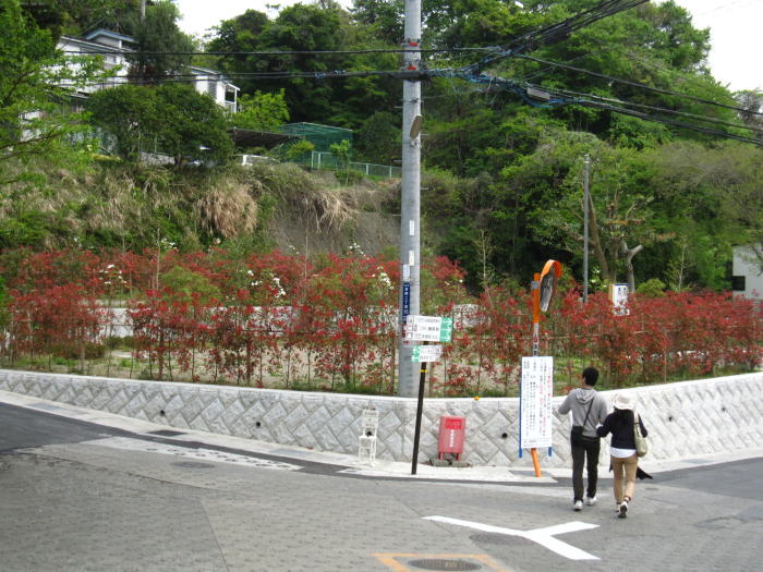 c0090198_612125.jpg