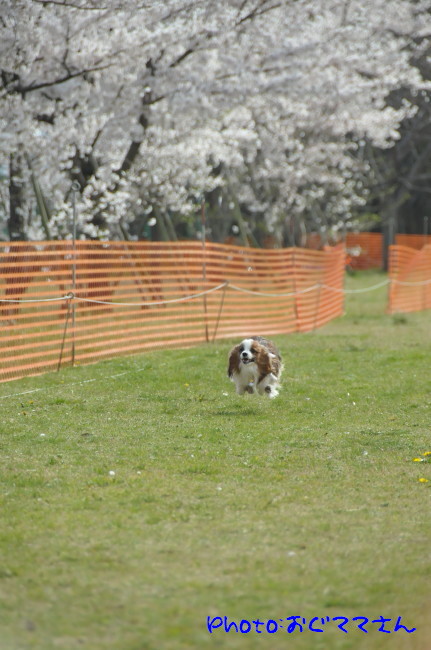 c0044199_2353726.jpg