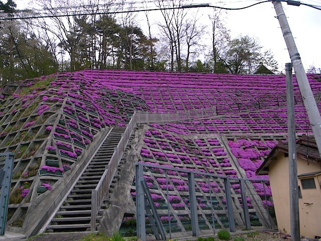 f0108399_4455315.jpg