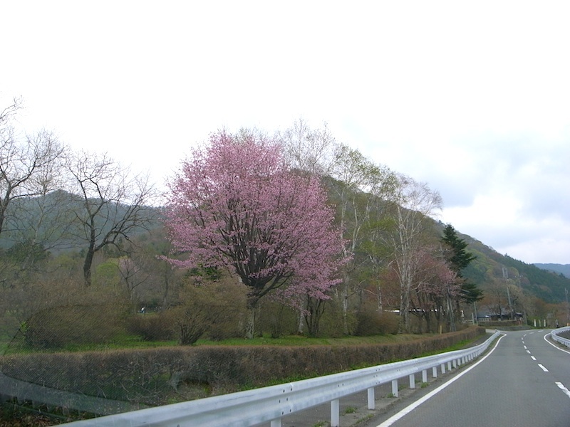 f0108399_4462074.jpg