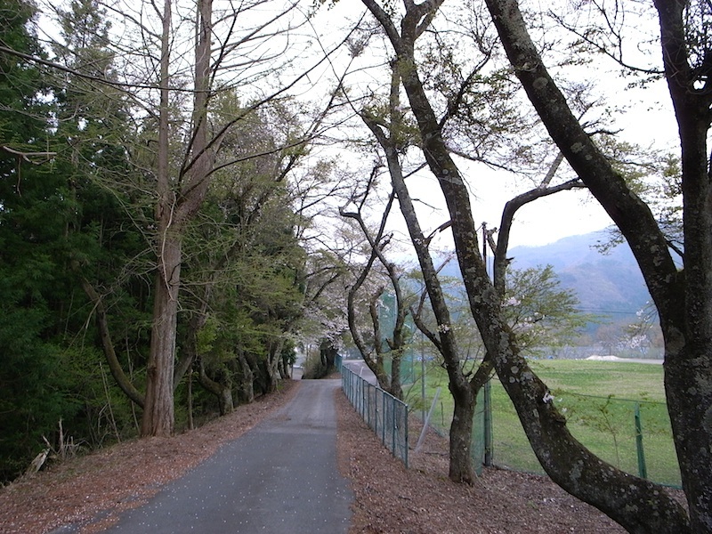 f0108399_4464086.jpg