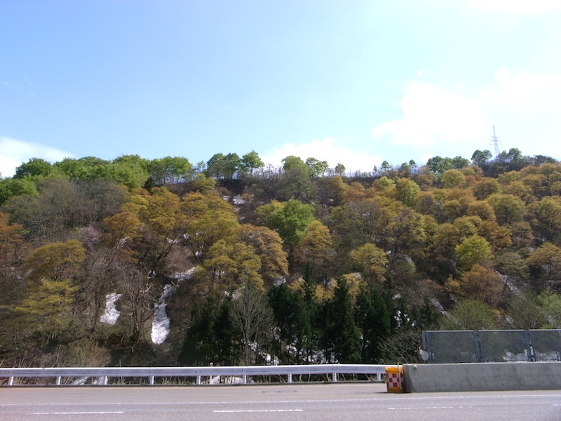 f0108399_4473230.jpg