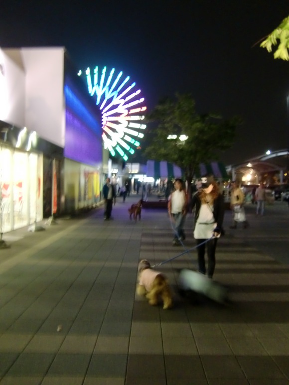 a0134004_16155328.jpg