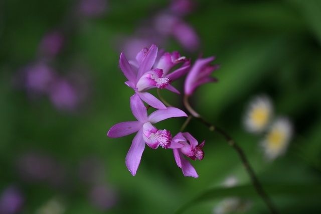 a0188405_2331079.jpg