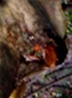 e0103408_2150369.jpg