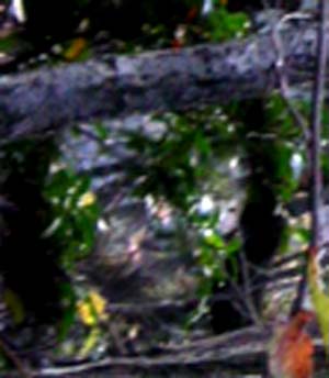 e0103408_22101149.jpg
