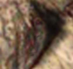 e0103408_2283317.jpg