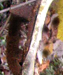 e0103408_229976.jpg