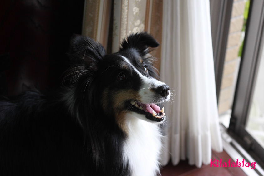 e0130008_2012123.jpg