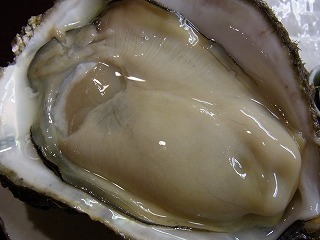 f0157910_1541420.jpg