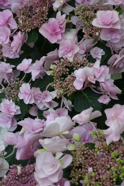 c0175114_20121530.jpg