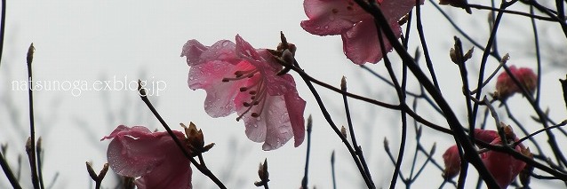 b0141916_22362533.jpg