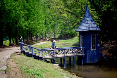b0230018_15545464.jpg
