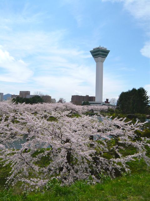 e0111220_222457100.jpg