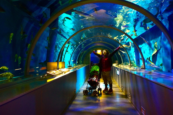 e0171420_220634.jpg