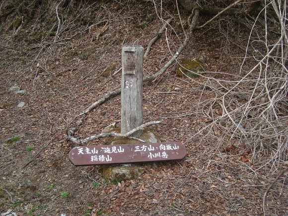 f0193521_8194649.jpg
