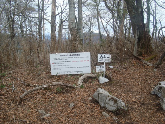 f0193521_8334128.jpg