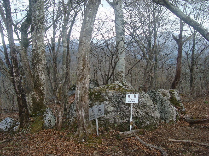 f0193521_8533237.jpg