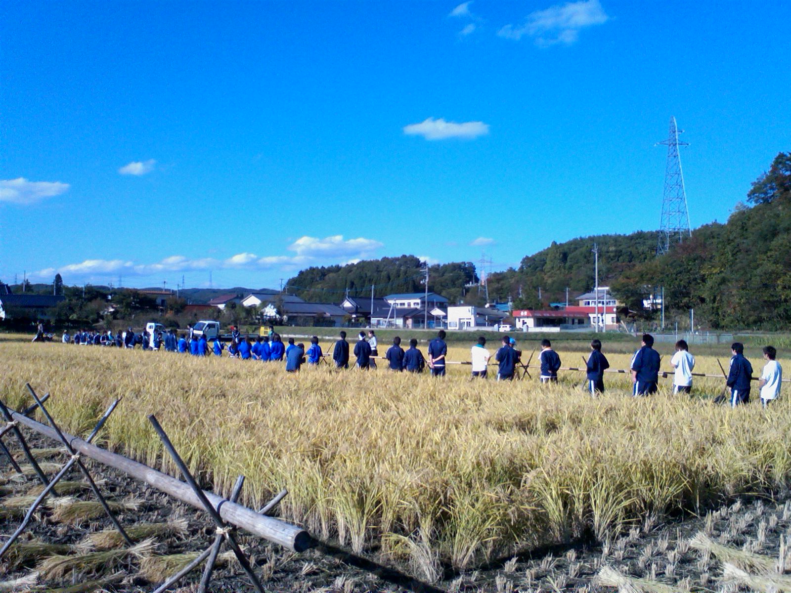 c0087023_8561291.jpg