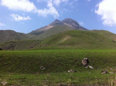 d0159829_169580.jpg