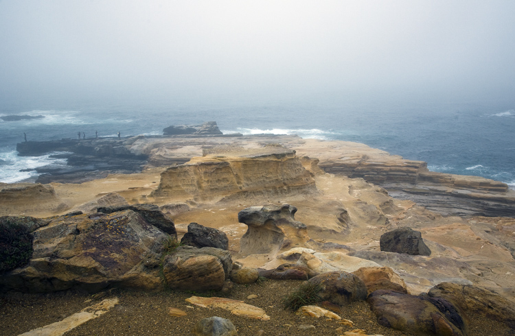 d0147530_142596.jpg