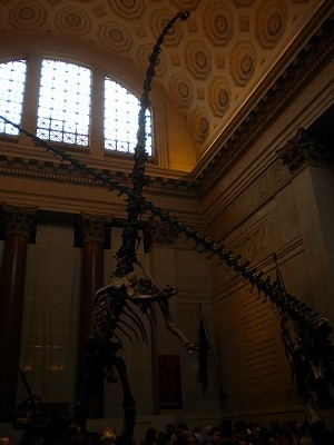 d0183130_19304088.jpg