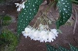 a0017634_18155795.jpg
