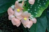 a0017634_18162245.jpg
