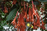 a0017634_1862255.jpg