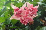 a0017634_1872365.jpg