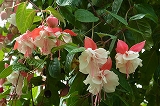 a0017634_1881939.jpg