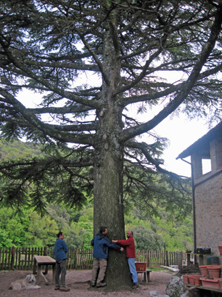 f0234936_1916327.jpg