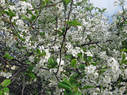f0234936_19174760.jpg