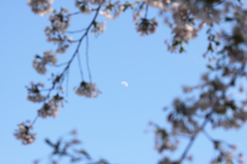 b0006537_2084552.jpg