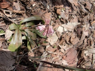 e0110940_082969.jpg