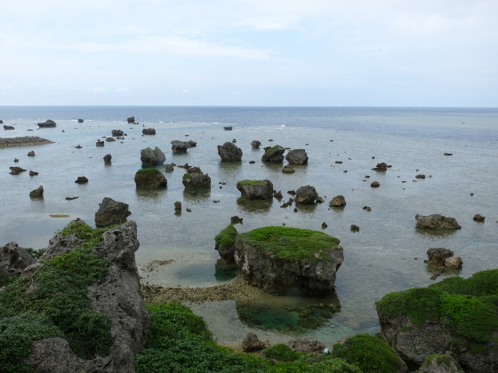 b0041442_2228289.jpg
