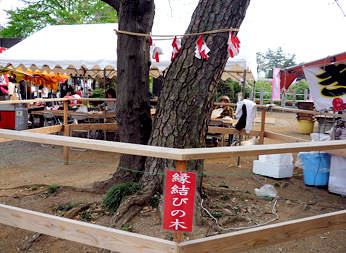 d0039443_1182328.jpg