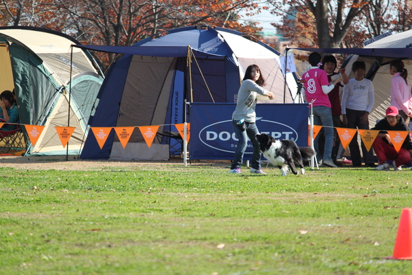 a0157156_035587.jpg