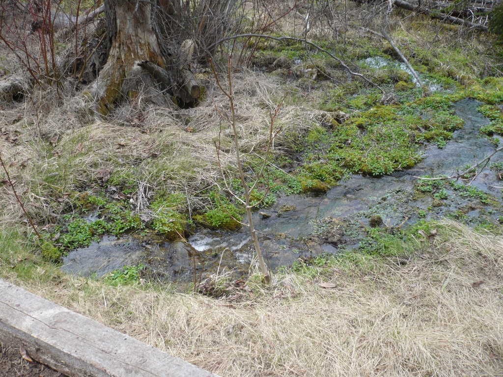 f0214562_10968.jpg