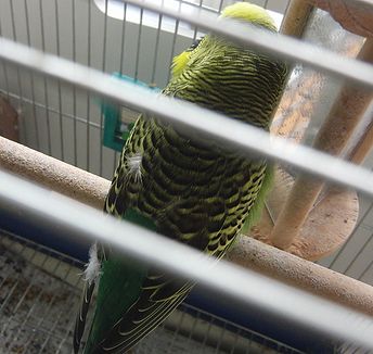 f0196665_021542.jpg
