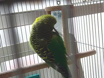 f0196665_027551.jpg