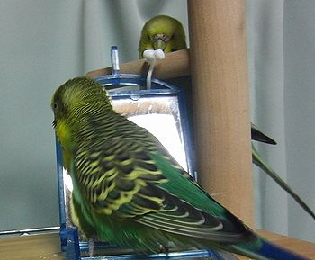 f0196665_23484860.jpg
