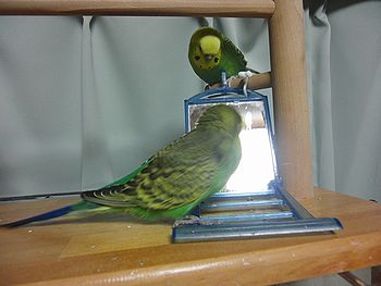 f0196665_23492060.jpg