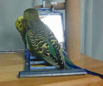 f0196665_23505698.jpg