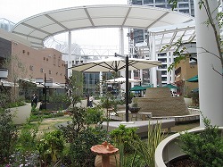 e0041168_15242168.jpg