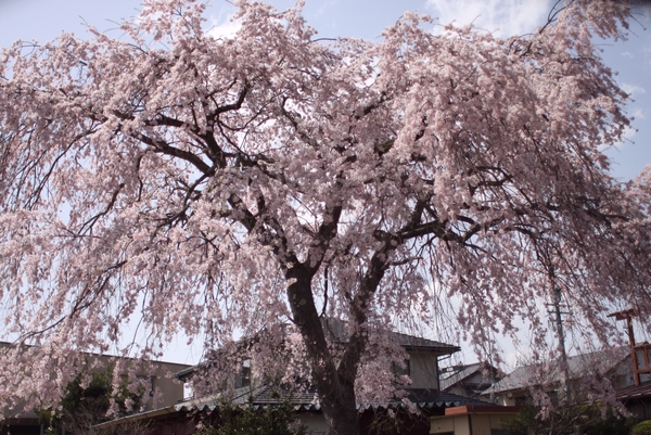 b0069169_0574461.jpg